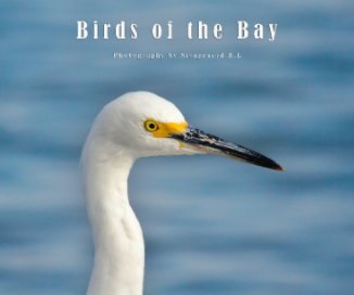 Birds of the Bay book cover