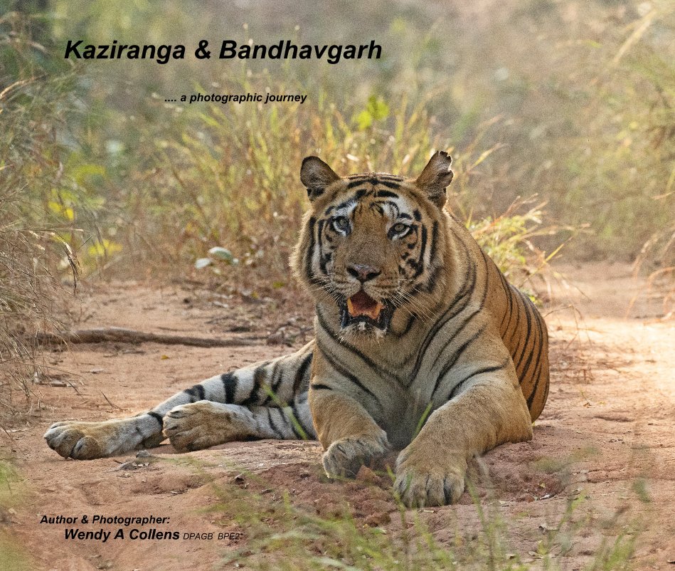 Bekijk Kaziranga & Bandhavgarh op Author & Photographer: Wendy A Collens DPAGB BPE2*