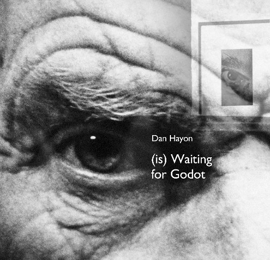 Ver Waiting for Godot por Dan Hayon