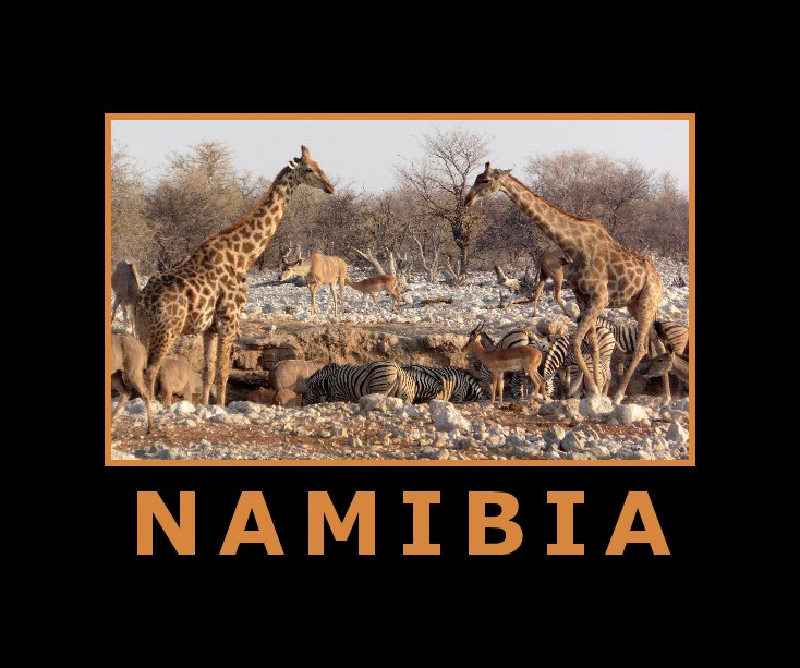 View Namibia by sanderan