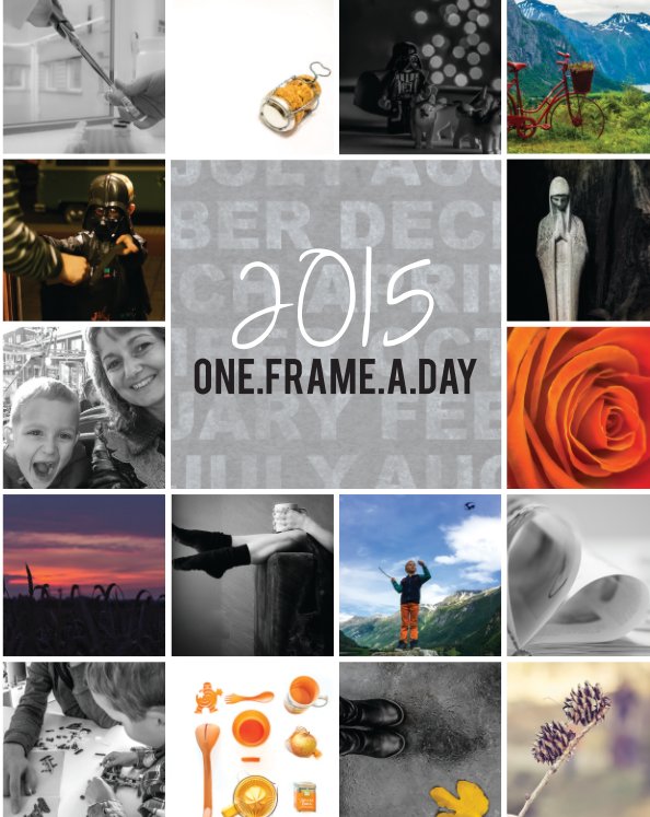 Ver 2015 - One Frame A Day por Krysta Voesenek