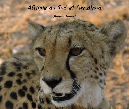 Afrique du Sud et Swaziland book cover