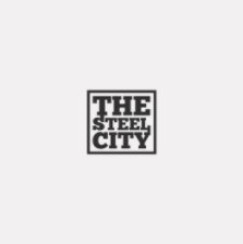 THE STEEL CITY book cover