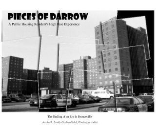 Pieces of Darrow book cover