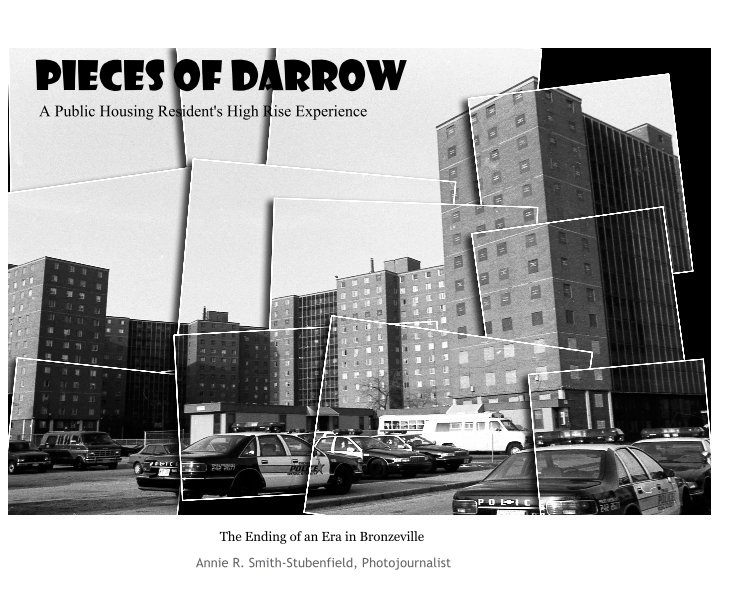 Ver Pieces of Darrow por Annie R. Smith-Stubenfield