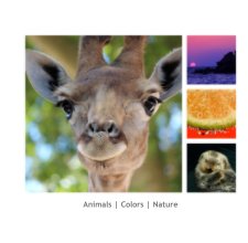 Animals | Colors | Nature book cover