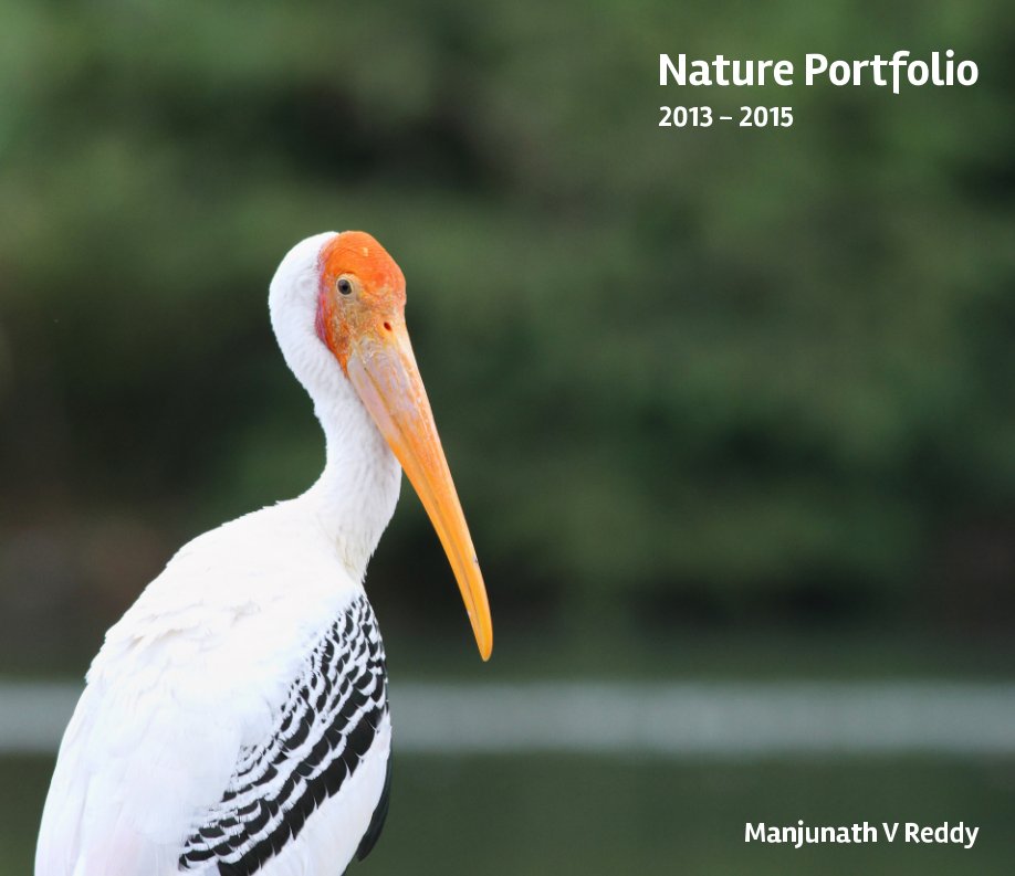 Ver Nature Portfolio 2013-2015 por Manjunath V Reddy