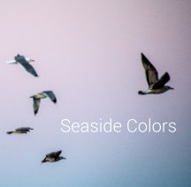 Seaside Colors book cover