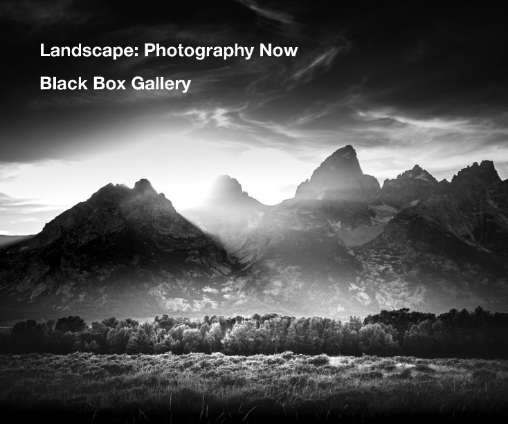 View Landscape: Photography Now by Black Box Gallery