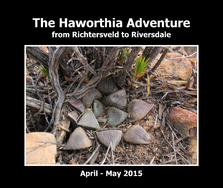 View The Haworthia Adventure by Jakub Jilemicky