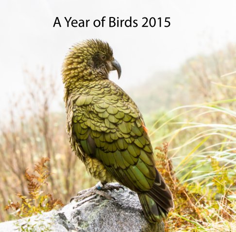View A Year of Birds 2015 by Chris de Blank