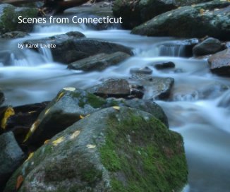 Scenes from Connecticut book cover