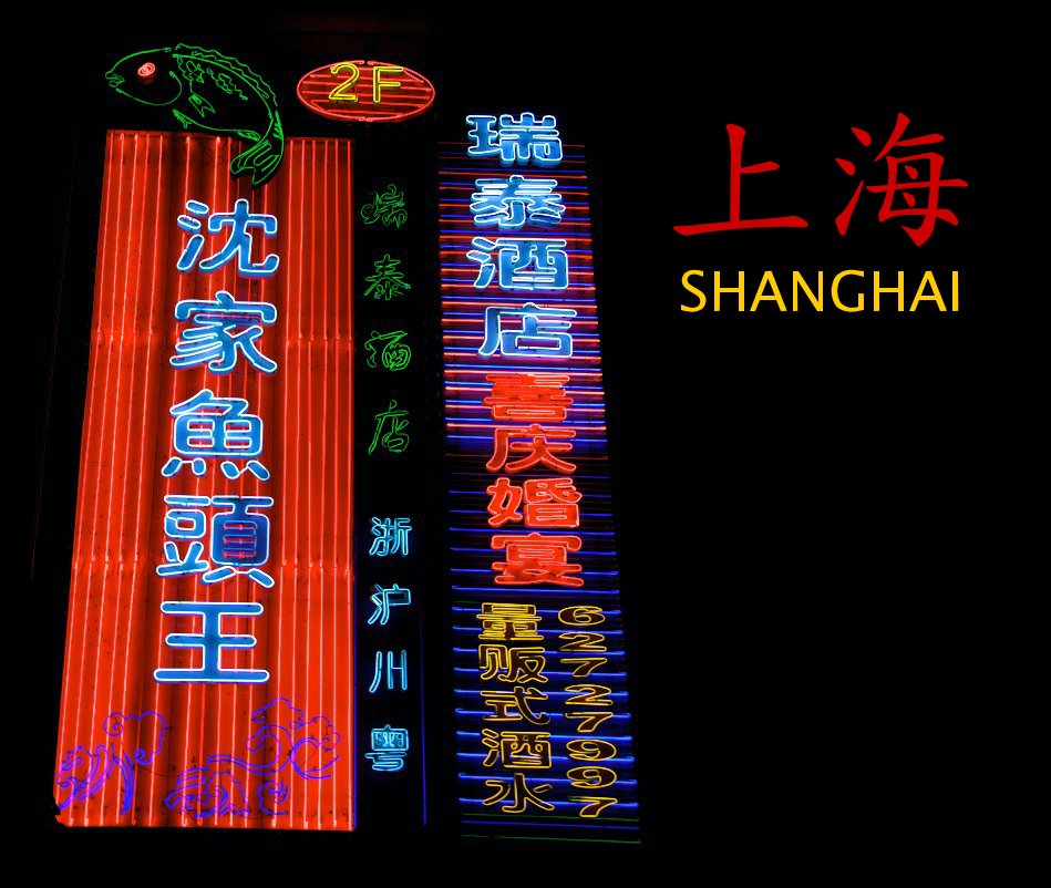Visualizza 上海 SHANGHAI di Rammohan Paranjape