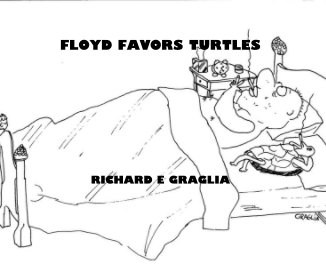 FLOYD FAVORS TURTLES book cover