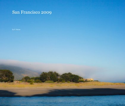 San Francisco Summer 2009 book cover