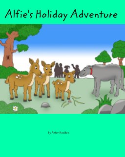 Alfie's Holiday Adventure book cover