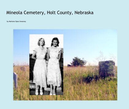 Mineola Cemetery, Holt County, Nebraska book cover