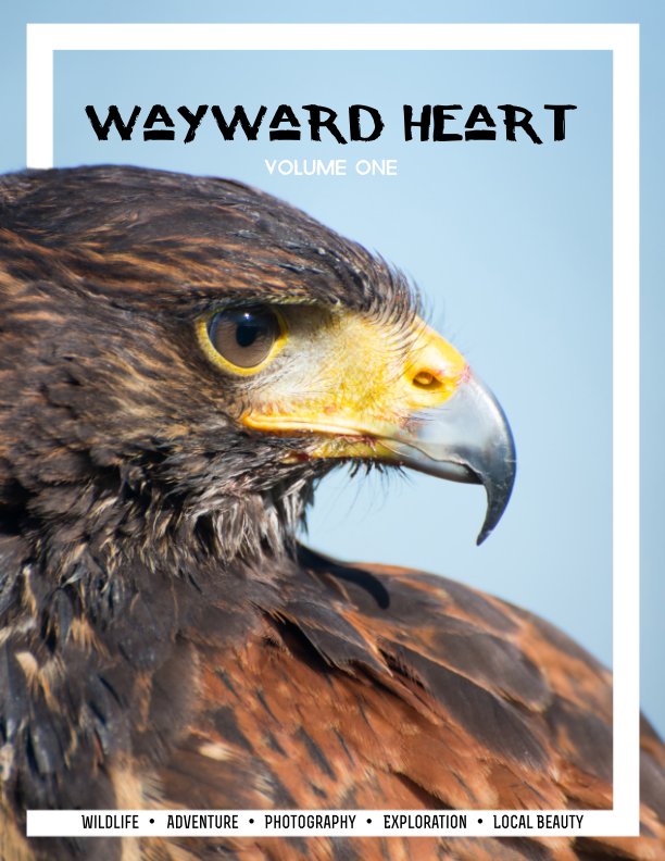 View Wayward Heart by Rebecca Helen Tribelhorn