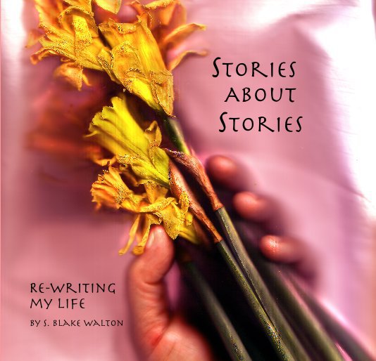 Ver Stories About Stories por S. Blake Walton