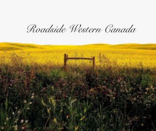 Roadside Western Canada book cover