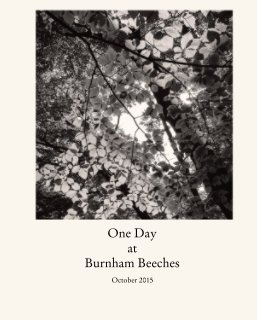 One Day  at  Burnham Beeches book cover