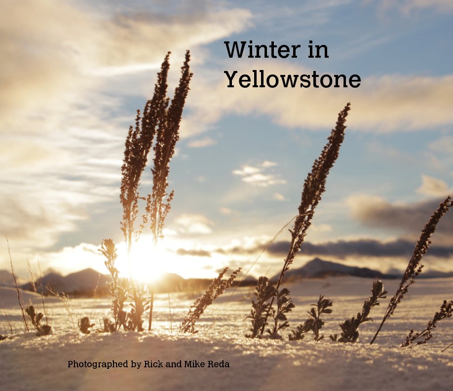 Ver Winter in Yellowstone por photographed by Rick and Mike Reda