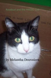 Rosebud and the MAGIC CAT book cover