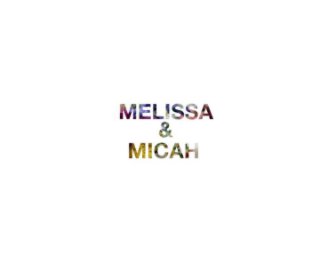 Melissa and Micah book cover