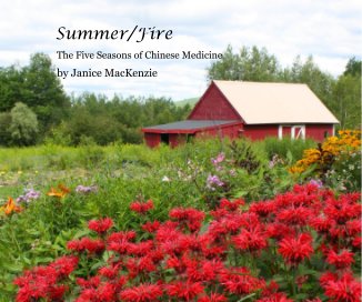 Summer/Fire book cover