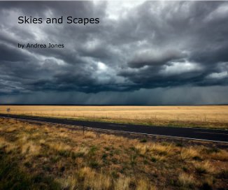 Skies and Scapes book cover