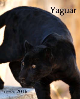 Yaguar book cover