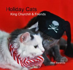 Holiday Cats book cover
