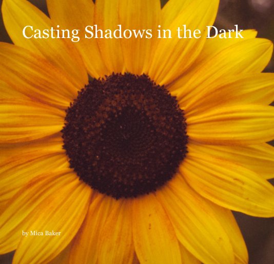 View Casting Shadows in the Dark by Mica Baker