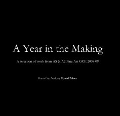 A Year in the Making book cover
