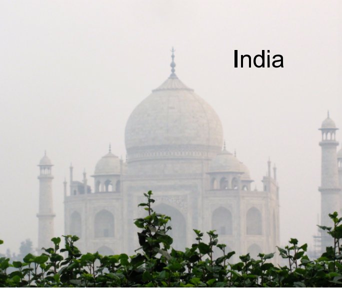 View India by Joan Hellmann