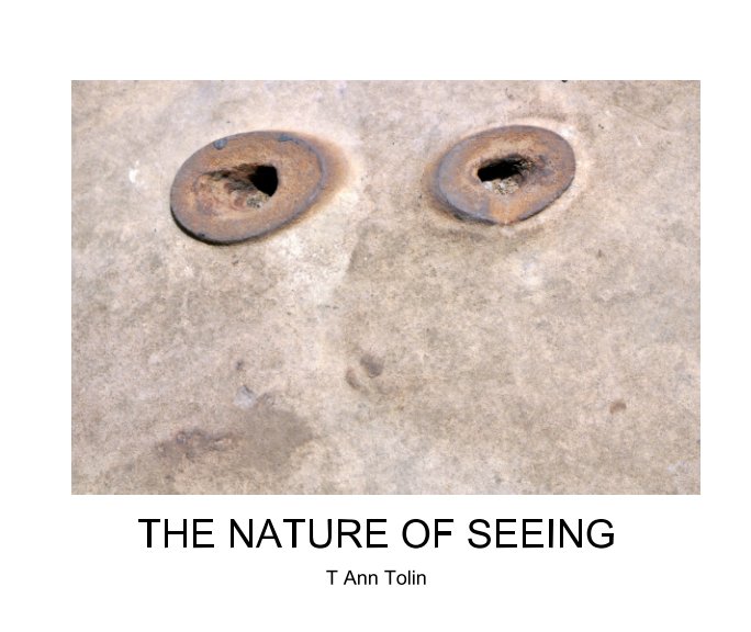 View The Nature of Seeing by T Ann Tolin