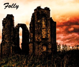 Folly book cover