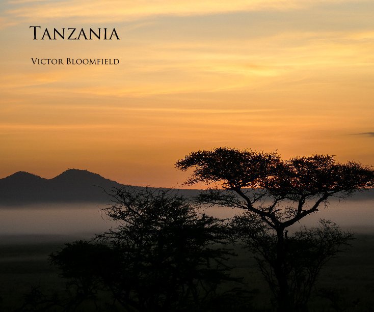 View Tanzania by Victor Bloomfield