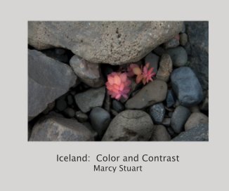 Iceland: Color and Contrast    Marcy Stuart book cover