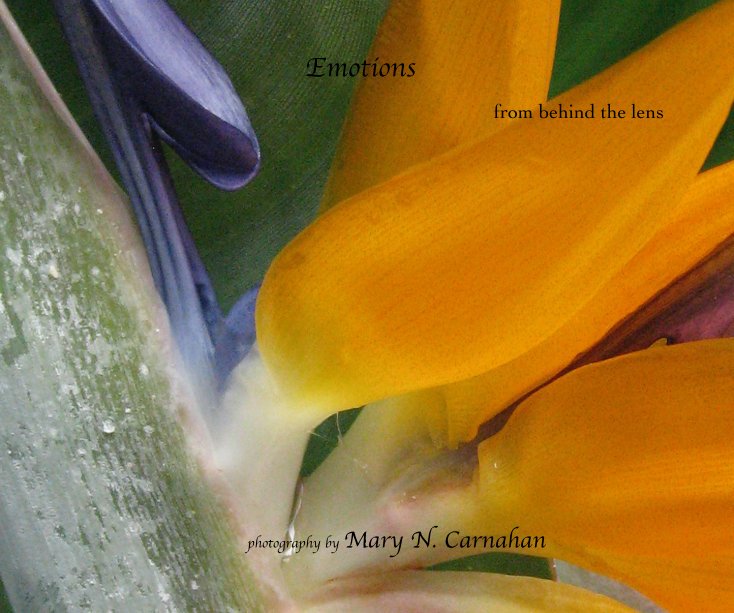 View Emotions by photography by Mary N. Carnahan