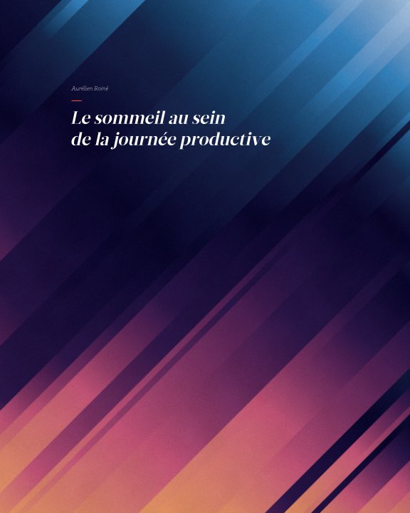 Ver Mémoire - Le sommeil au sein de la journée productive por Aurélien Roiné