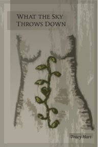 What the Sky Throws Down book cover
