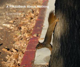 A PhotoBook About Nothing book cover