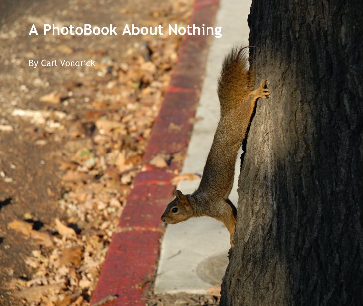 View A PhotoBook About Nothing by Carl Vondrick