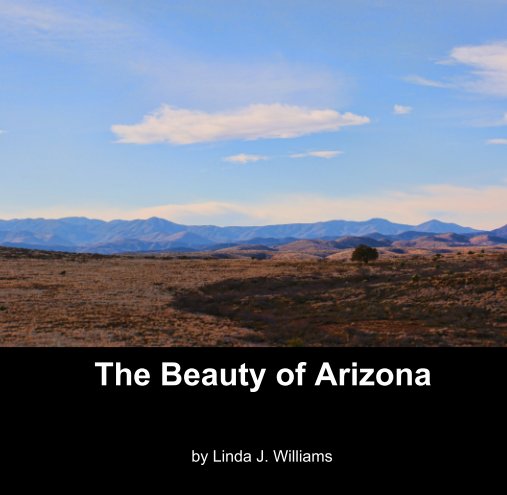 View The Beauty of Arizona by Linda J. Williams