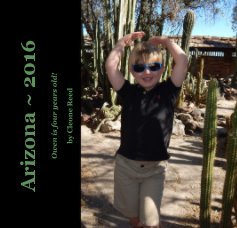 Arizona ~ 2016 book cover
