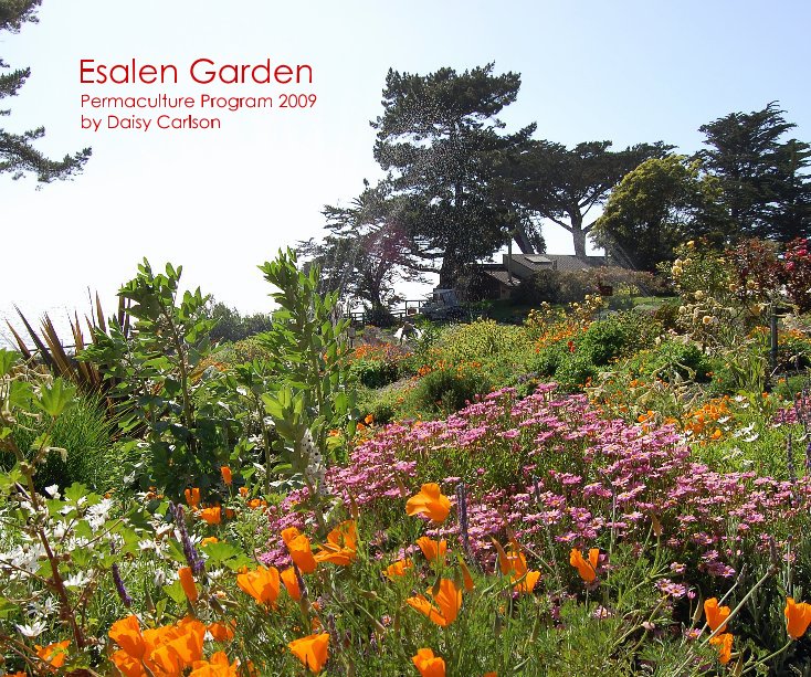 Ver Esalen Garden Permaculture Program 2009 by Daisy Carlson por Daisy Carlson