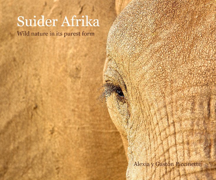 View Suider Afrika by Gastón Piccinetti