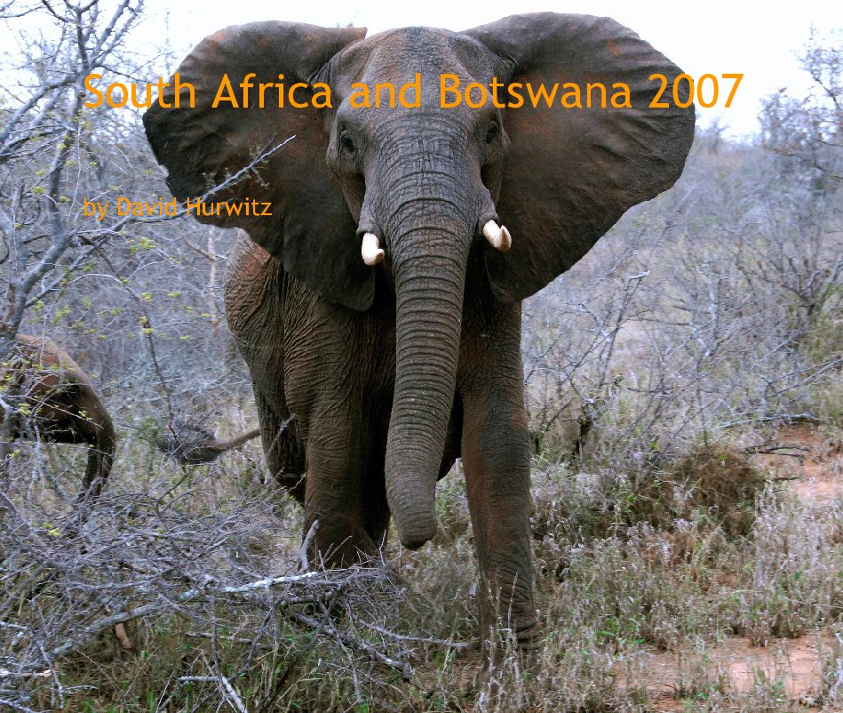 View South Africa and Botswana 2007 by David Hurwitz