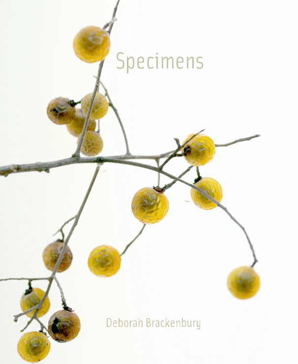 View Specimens by Deborah Brackenbury